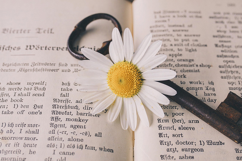 Gänseblümchen-Schlüssel-Buch