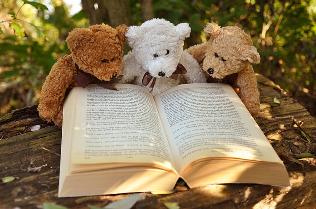 teddy-bears_book
